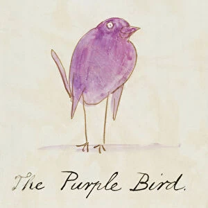 The Purple Bird, from Sixteen Drawings of Comic Birds (pen & ink w / c on paper)