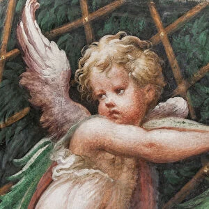 Putto, from the Room of Diana and Actaeon, detail of 2384753, 1524