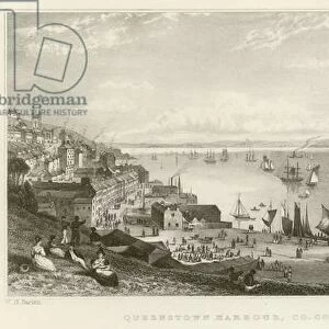 Queenstown harbour (engraving)