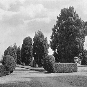 The Raised Terraces of the Privy Garden (b / w photo)