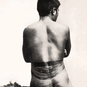 Rear view of a Samoan Pe a tattoo, 19th Century (photo)