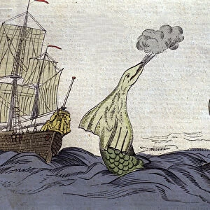 Representation of the sea snake seen by the Norwegian missionary Hans Egede (1686-1758