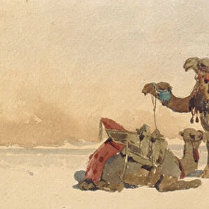 Resting with Three Camels in the Desert, 1859 (w / c on paper)