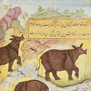 Rhinoceros, illustration from the Baburnama (The Memoirs of Babur) 1589-90