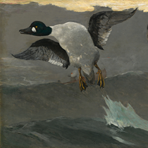 Right & Left, 1909 (oil on canvas)