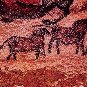 Rock painting of tarpans (ponies), c. 17000 BC (cave painting)