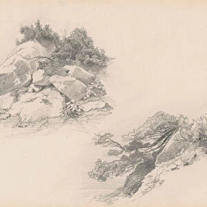 Rocks and Brush, Hintersee, Germany, 1871 (graphite on wover paper)