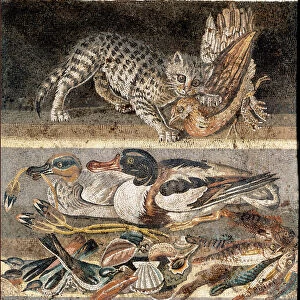 Roman art: cat eating a partridge, and wild ducks First half of the 1st BC) Rome