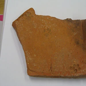 Roman tile with cat footprint (earthenware)