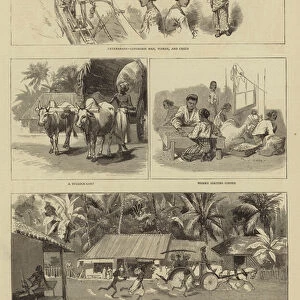 Round the World Yachting in the "Ceylon", X, Ceylon (engraving)
