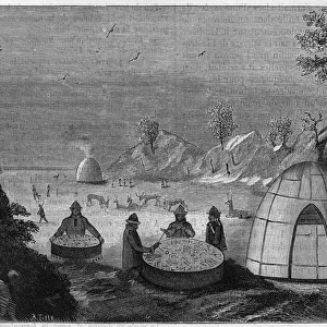 Sami wizard predicting the future by means of a magic drum. Engraving from 1885