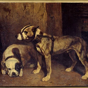Scottish Bulldog and Terrier Painting by Alexandre Gabriel Decamps (1803-1860