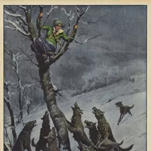 A Serbian student realised, during a trip to the mountains, of the proximity of a pack... (colour litho)