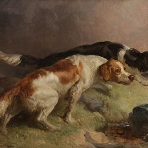 Setters on the Moor (oil on canvas)