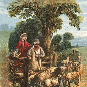 The shepherd counting his sheep
