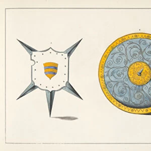 Shields, plate from A History of the Development and Customs of Chivalry, by Dr