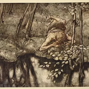 Siegfried sees himself in the stream, illustration from