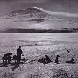 Sledge and dogs, with Mount Erebus in background (b / w photo)