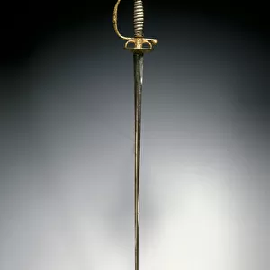 Small sword, Paris, c. 1730 (gilded & blued steel with silver wire)