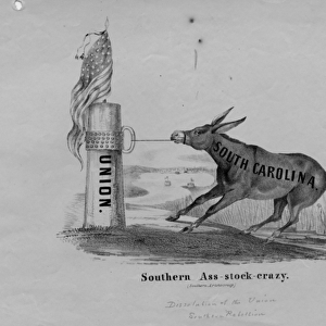 Southern ass-stock-crazy, published by John T. Ruoff, New York, c. 1861 (litho)