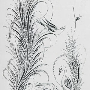 Specimen of Ornamental Penmanship (engraving)