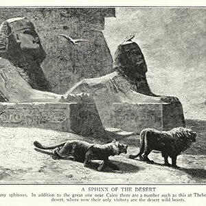 A sphinx of the desert (litho)