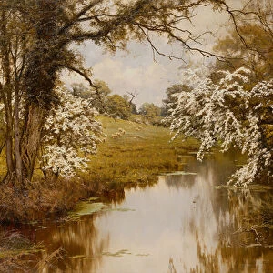 Where Spreading Hawthorns Gaily Bloom (oil on canvas)