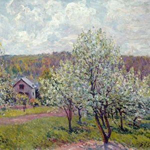 Spring in the Environs of Paris, Apple Blossom, 1879 (oil on canvas)