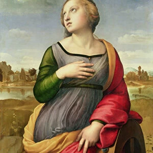 St. Catherine of Alexandria, 1507-8 (oil on panel)