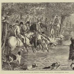 Stag Hunting in Surrey, taking the Deer, Shackleford Pond (engraving)
