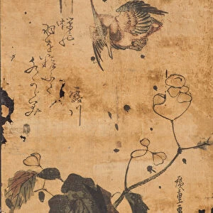Study of bird and plant, 19th century (woodblock print)