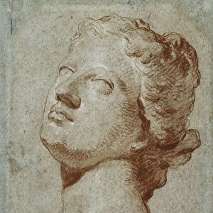 Study of the Head of Venus, After the Antique, (red and white chalk on blue paper)