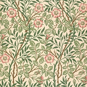 Sweet Briar design for wallpaper, printed by John Henry Dearle (1860-1932) 1917