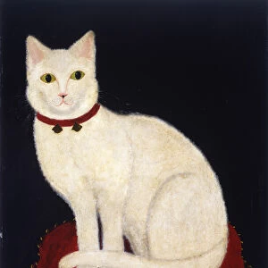 Tinkle, a Cat, 1883 (oil on academy board)