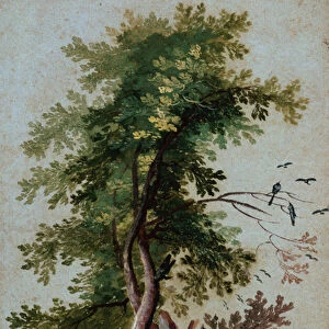 A Tree with Two Birds Perching on a Branch (pencil on paper)