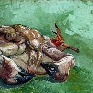 "Un crabe sur son dos"(A crab lying on his back) Peinture de Vincent van Gogh (1853-1890) 1889 Dim 38x46, 5 cm Van Gogh Museum, Amsterdam