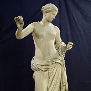 The Venus of Arles (marble) (see also 31855)