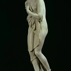 Venus, lateral view, 1810 (marble) (see also 79618)