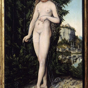 Venus Standing in a Landscape Painting by Lucas Cranach the Elder (1472-1553) 1529