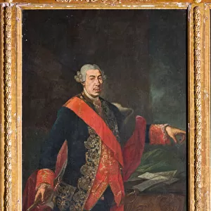Viceroy Domenico Caracciolo (oil on canvas)