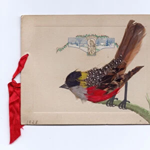 A Victorian Christmas card of a robin made out of feathers, 1925 (feathers)
