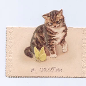 A Victorian greeting card of a kitten looking at a butterfly, c. 1880 (colour litho)