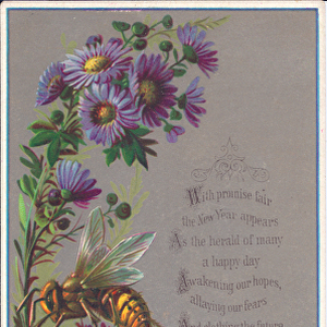 A Victorian New Year card of a wasp hovering over flowers