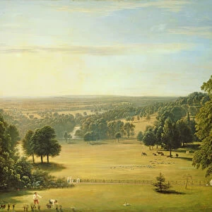 View from Lord Northwicks Villa at Harrow on the Hill (oil on canvas)