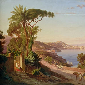 View of Naples (oil on canvas)