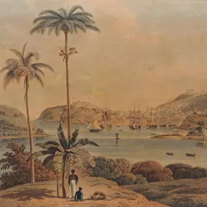View of the town of St. George and Richmond Heights in the Island of Grenada