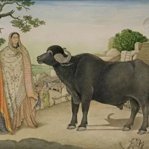Two village women and a buffalo in the village of Rania, c. 1816