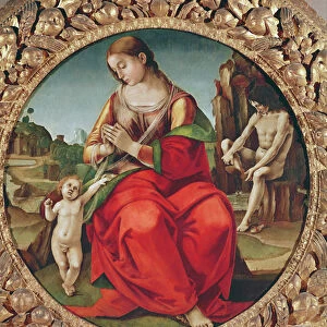 Virgin with Child, 1495 / 98 (oil on panel)