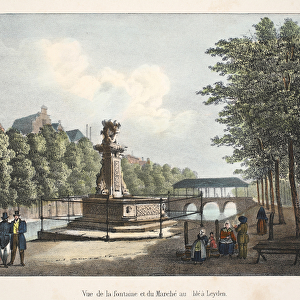 Vue de la fontaine et du Marche au blea Leyden, c. 1895 (photochrom)