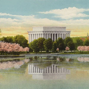 Washington DC: Lincoln Memorial and Japanese Cherry Blossoms (photo)